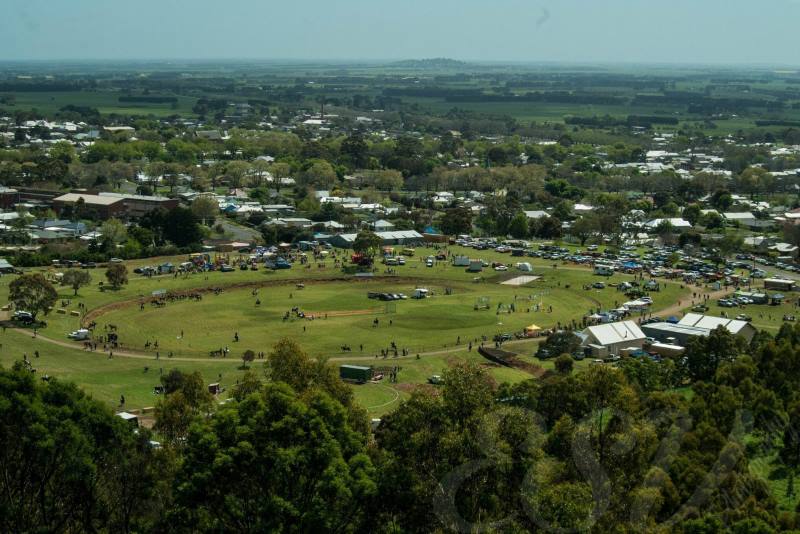 Camperdown-Show.jpg