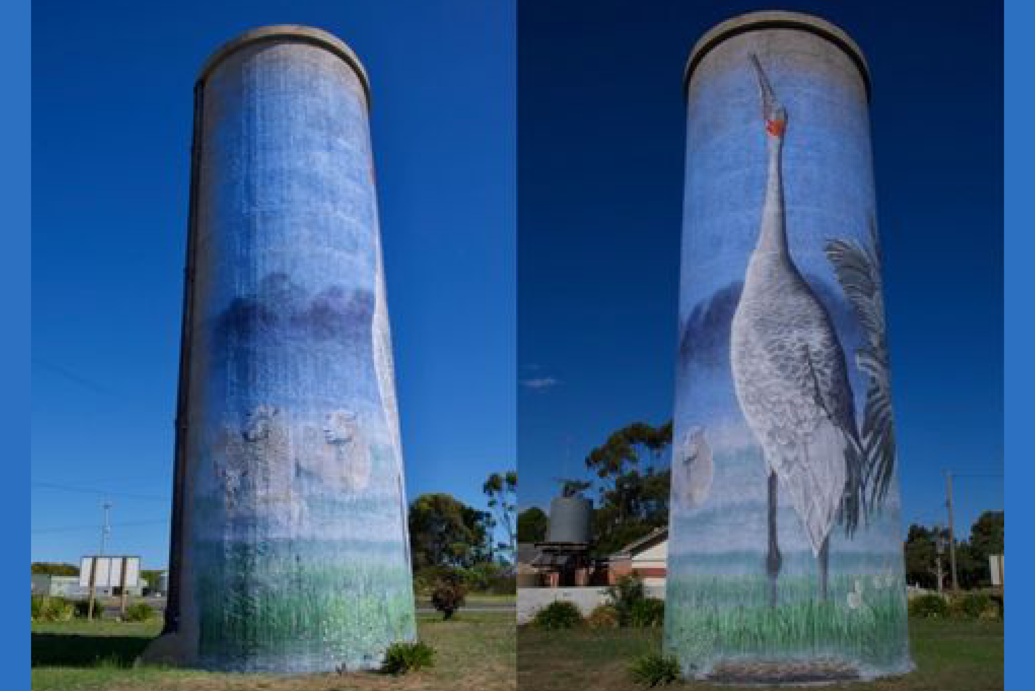 Lismore water tower public art launch.jpg