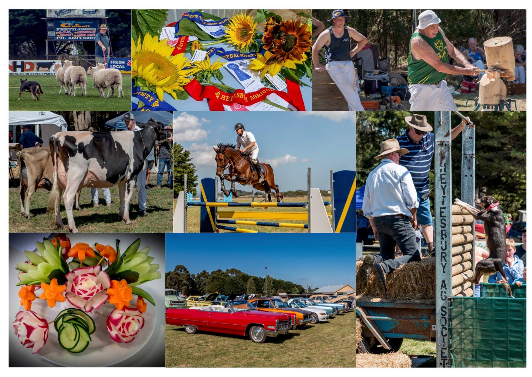 Heytesbury Show.jpg