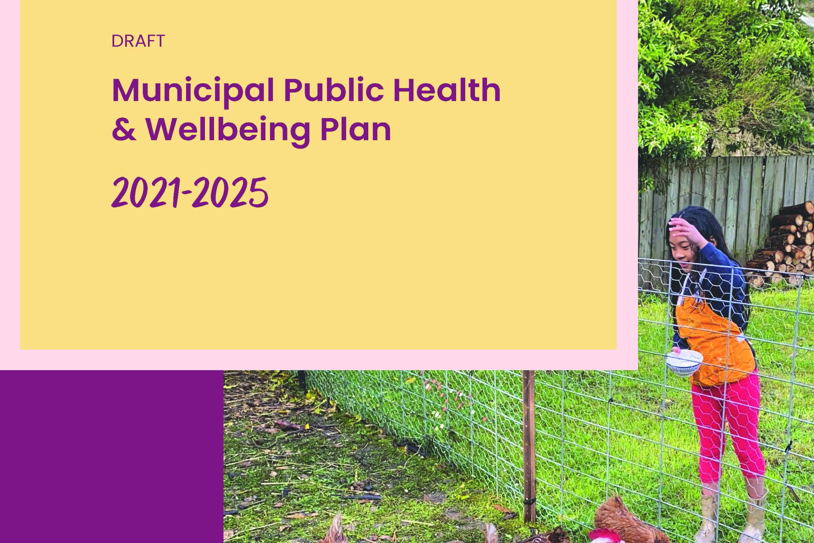 Municipal Public Health And Wellbeing Plan 2021 2025 Corangamite Shire